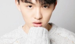 郑伟爆料视频大全下载免费,揭秘幕后真相，免费下载大揭秘