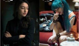 黑客爆料警花视频